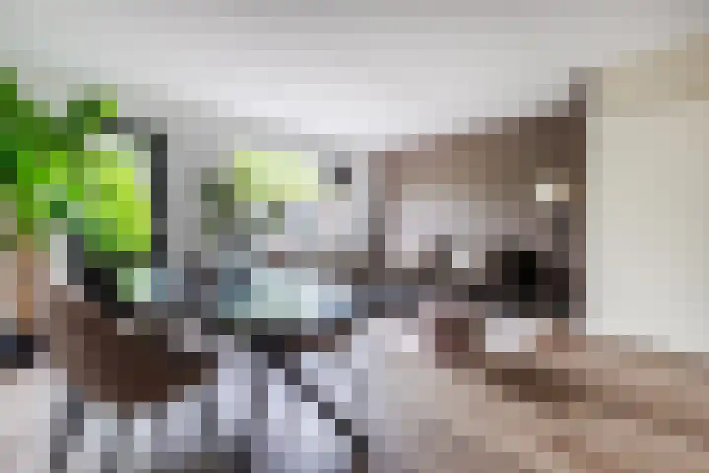 Grutto 32 Hoorn thumbnail 10
