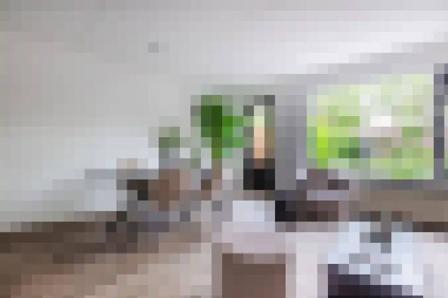 Grutto 32 Hoorn thumbnail 11