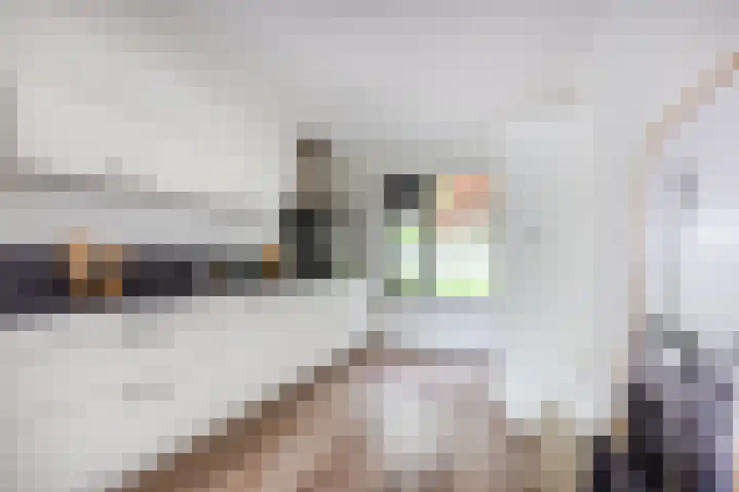 Grutto 32 Hoorn thumbnail 14