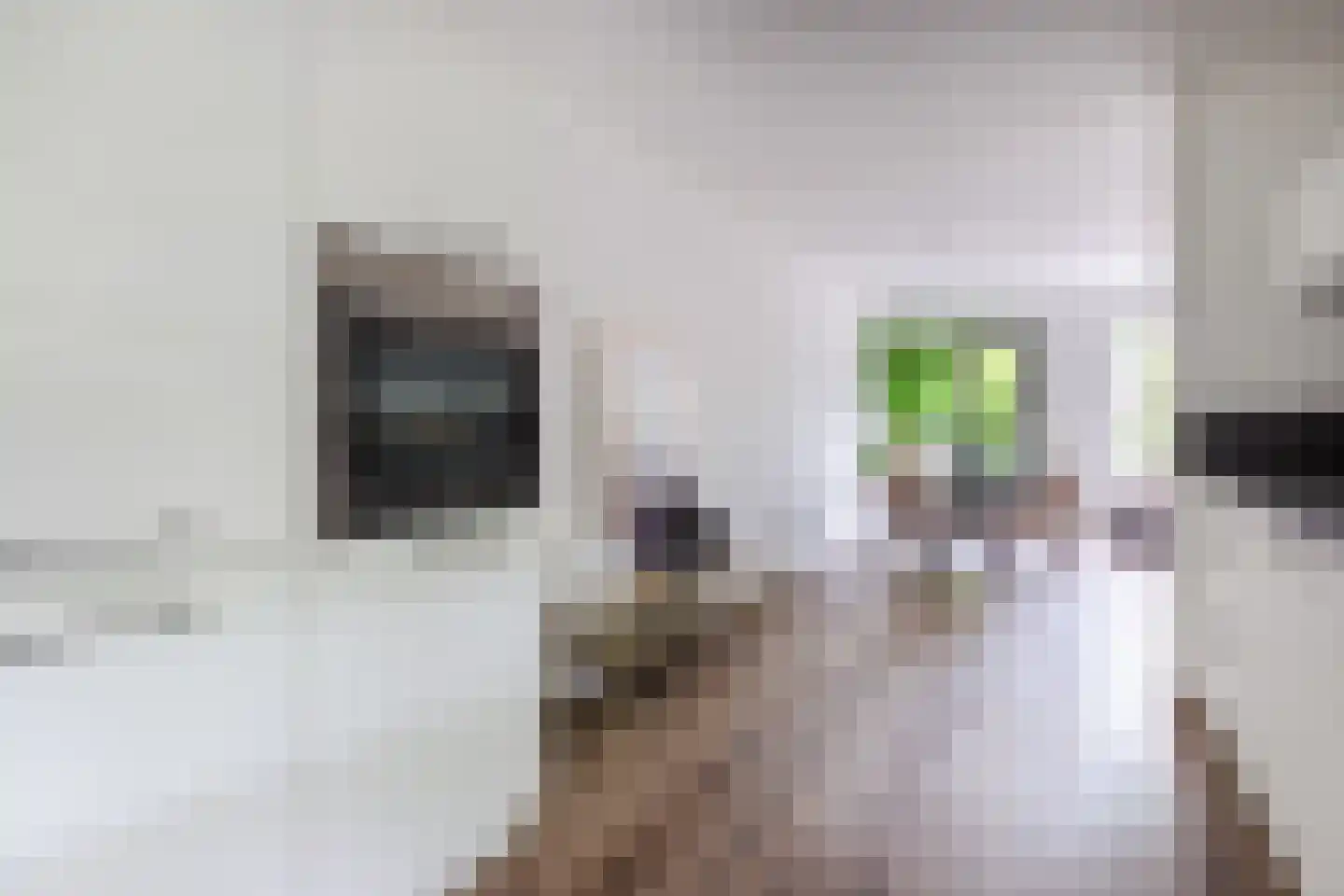 Grutto 32 Hoorn thumbnail 15
