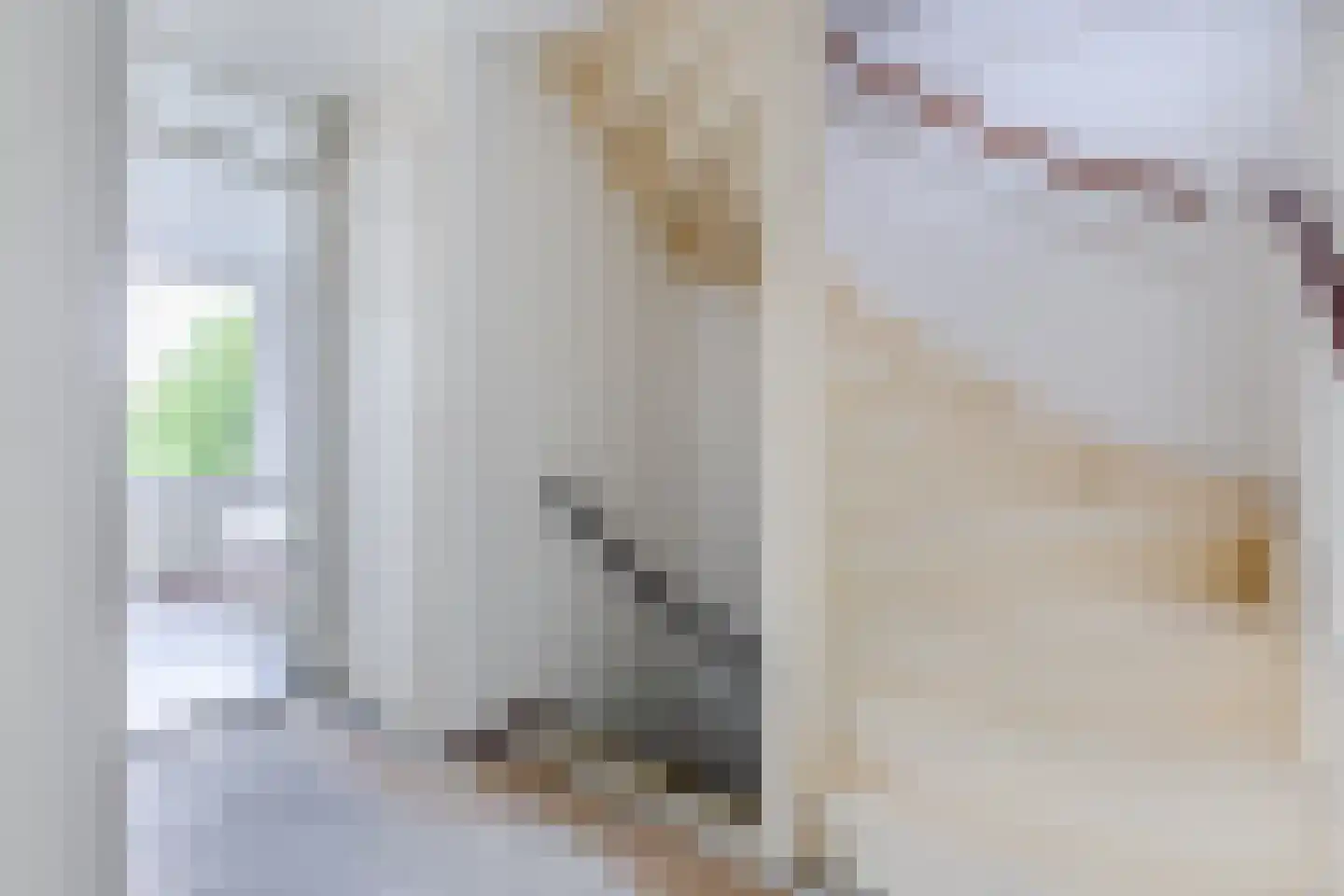 Grutto 32 Hoorn thumbnail 25