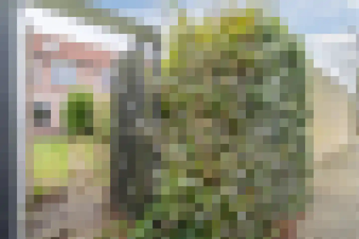Grutto 32 Hoorn thumbnail 26