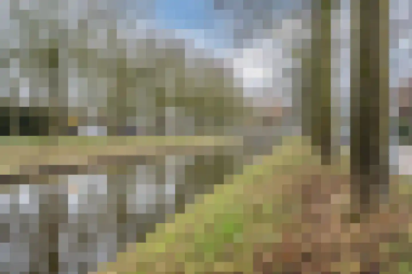 Grutto 32 Hoorn thumbnail 27