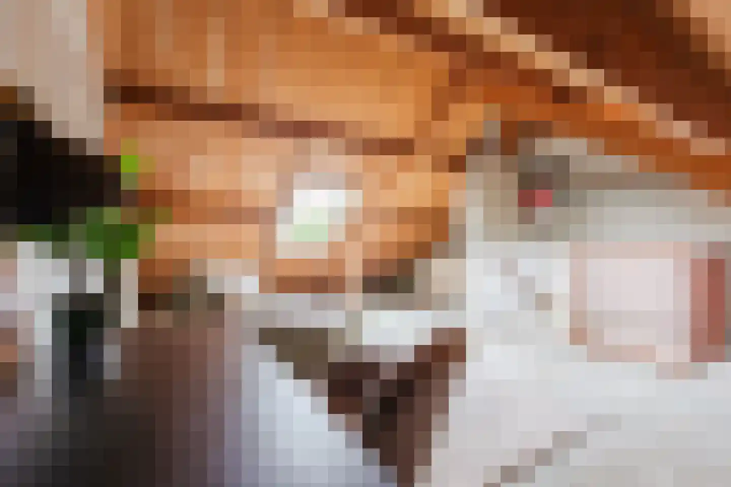 Grutto 32 Hoorn thumbnail 31