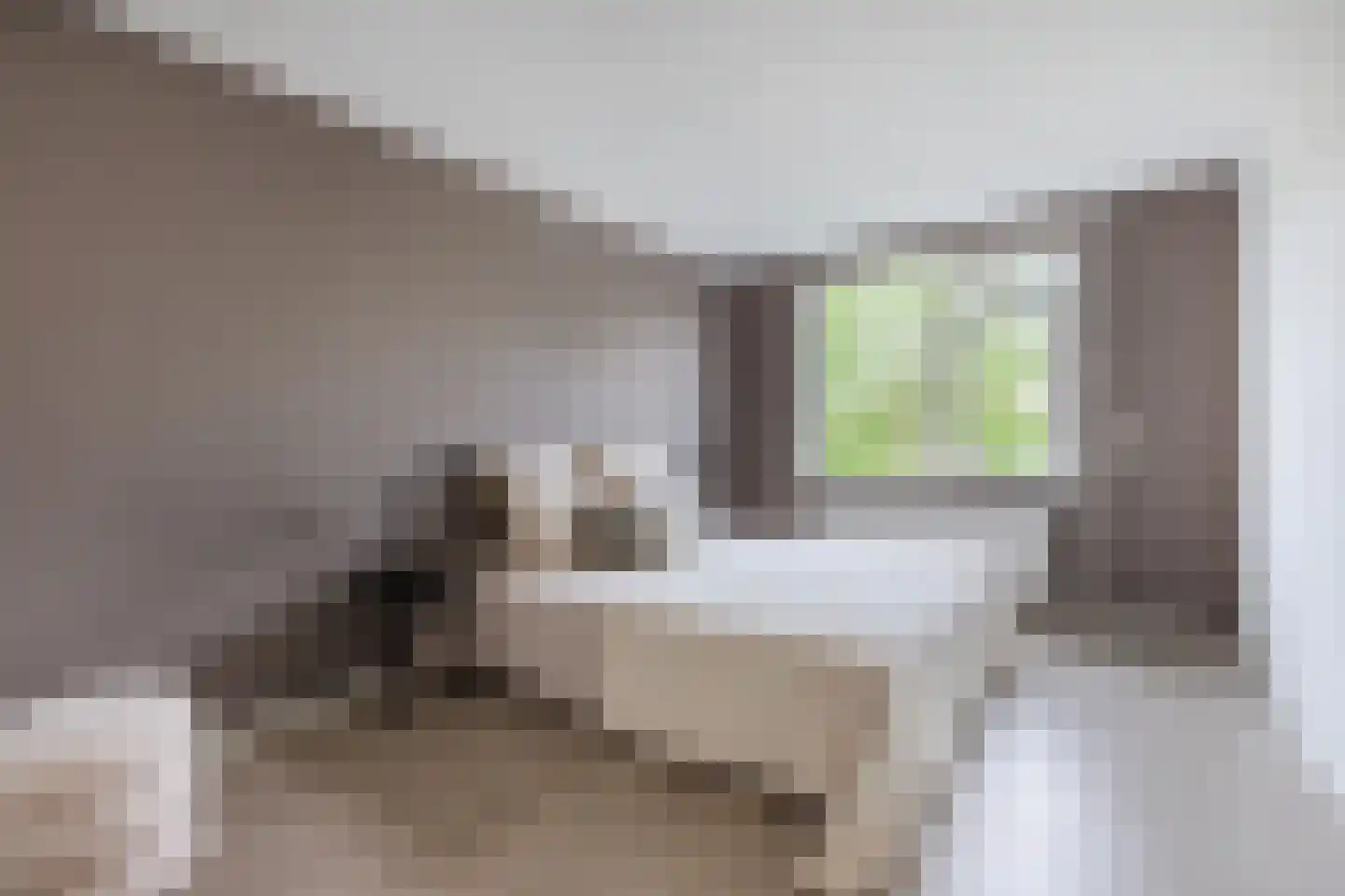 Grutto 32 Hoorn thumbnail 4