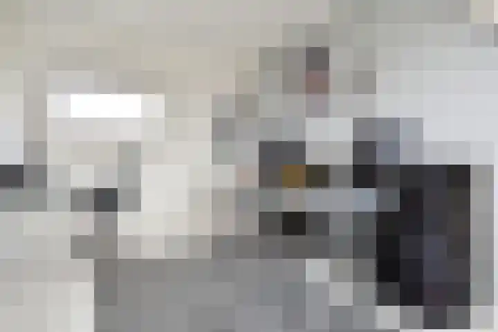 Grutto 35 Berkel en Rodenrijs thumbnail 30