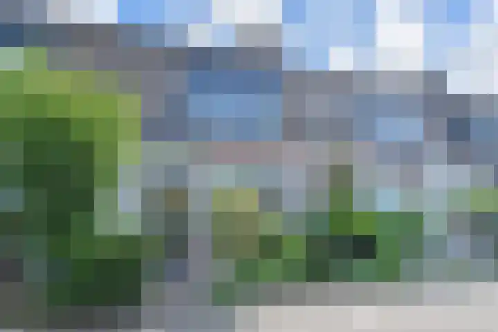 Grutto 35 Berkel en Rodenrijs thumbnail 5