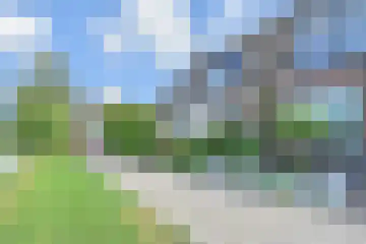 Grutto 35 Berkel en Rodenrijs thumbnail 6