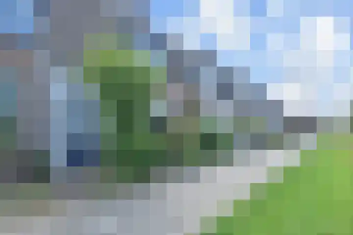 Grutto 35 Berkel en Rodenrijs thumbnail 7