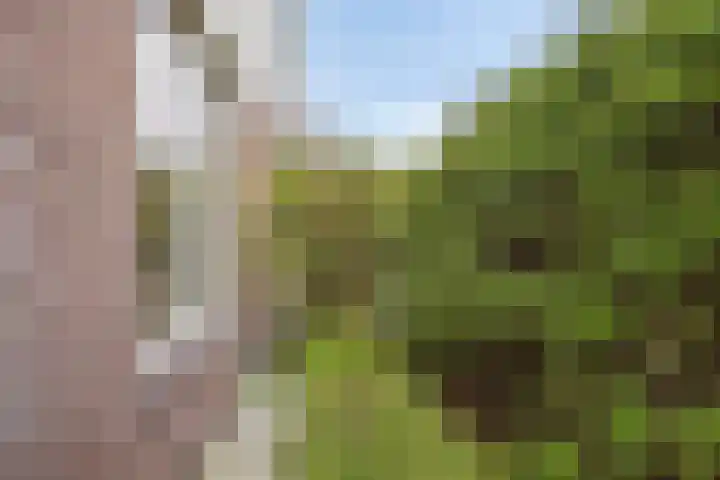 Grutto 35 Castricum thumbnail 20