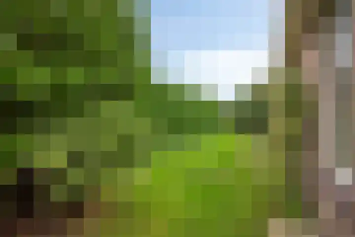 Grutto 35 Castricum thumbnail 21