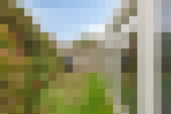 Grutto 35 Castricum thumbnail 23