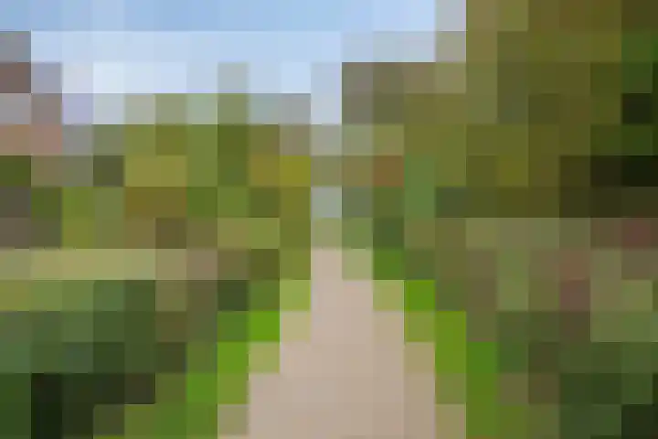 Grutto 35 Castricum thumbnail 24