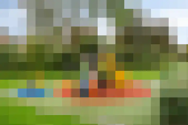 Grutto 35 Castricum thumbnail 25