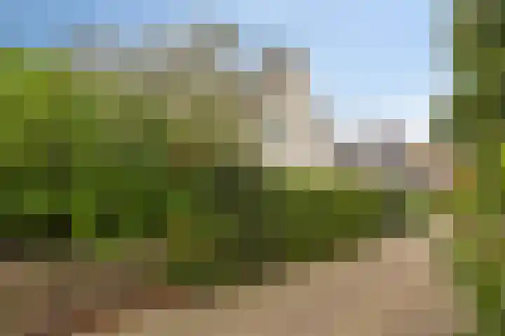 Grutto 35 Castricum foto 3