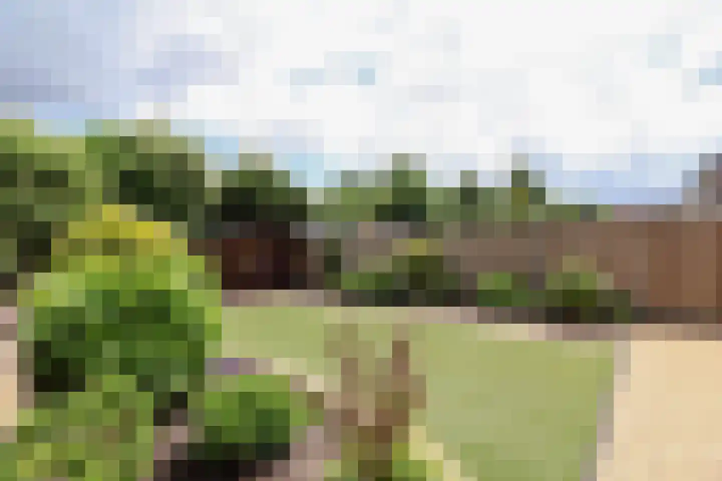 Grutto 36 Bunschoten-Spakenburg thumbnail 37