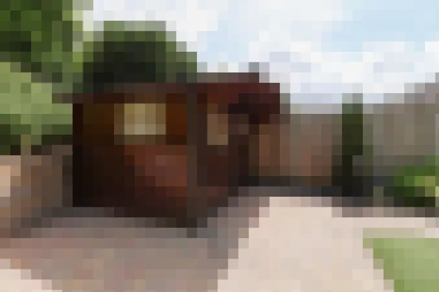 Grutto 36 Bunschoten-Spakenburg thumbnail 38