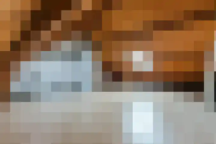 Grutto 39 Hoorn thumbnail 19