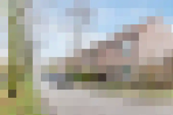 Grutto 39 Hoorn thumbnail 24