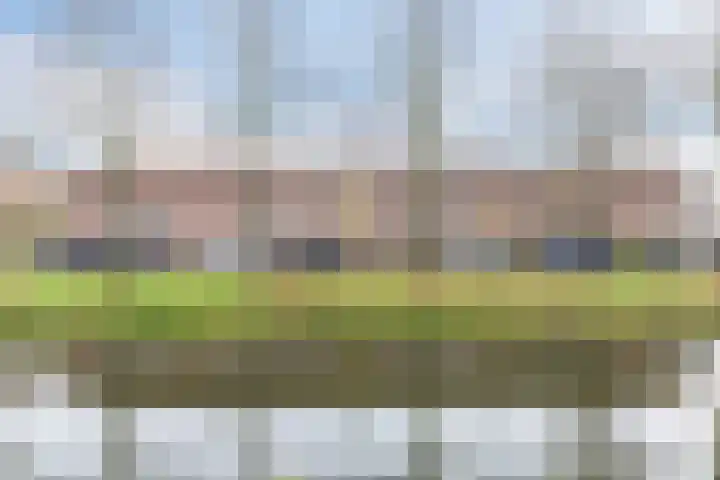Grutto 39 Hoorn thumbnail 25