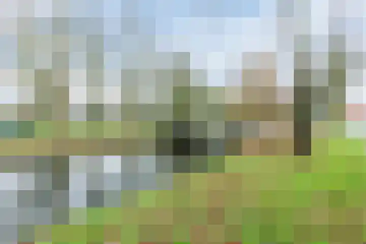 Grutto 39 Hoorn thumbnail 26