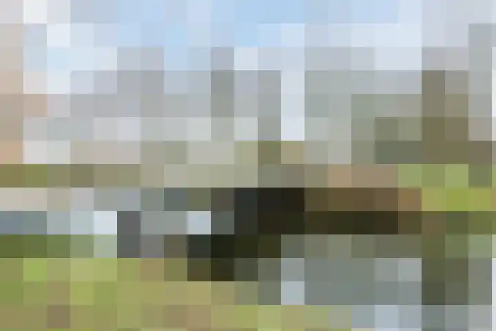 Grutto 39 Hoorn thumbnail 27