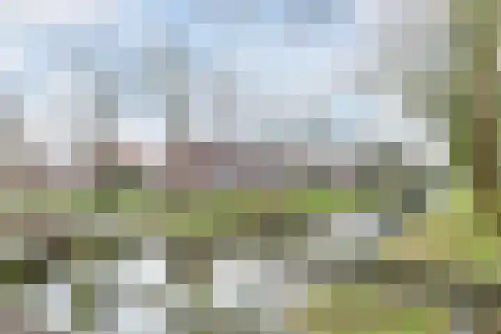 Grutto 39 Hoorn thumbnail 28