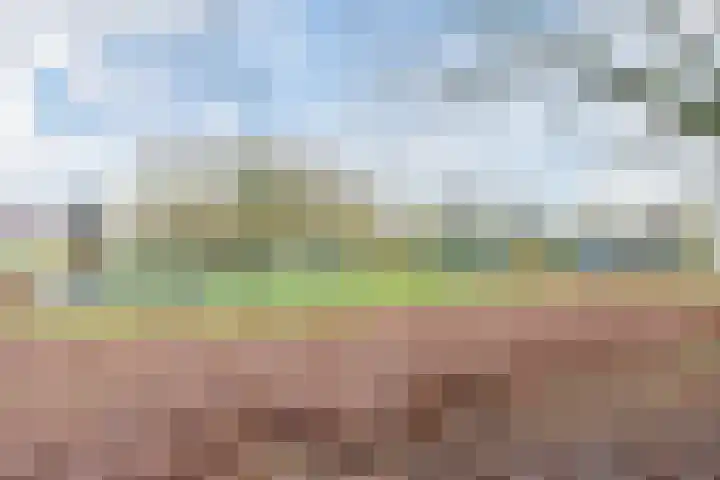 Grutto 39 Hoorn thumbnail 29