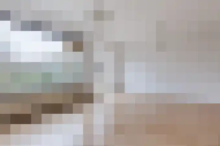 Grutto 39 Hoorn thumbnail 4