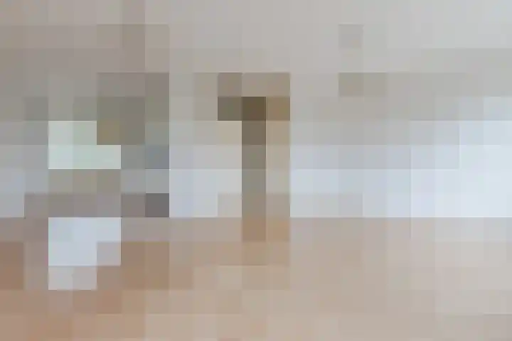 Grutto 39 Hoorn thumbnail 6
