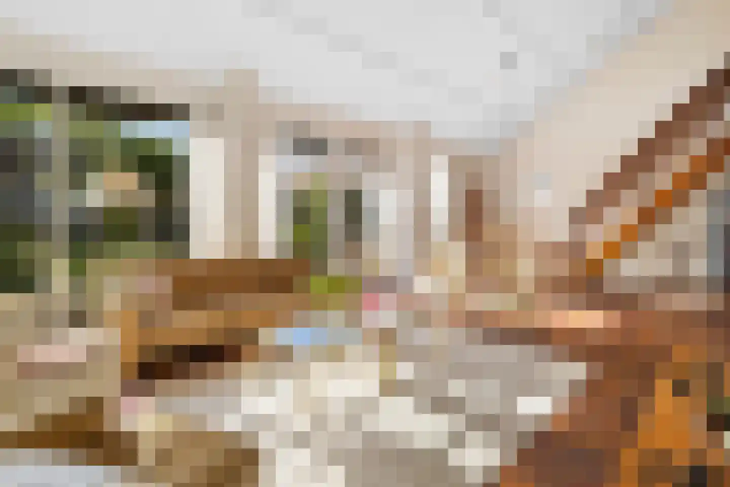 Grutto 4 Castricum thumbnail 12