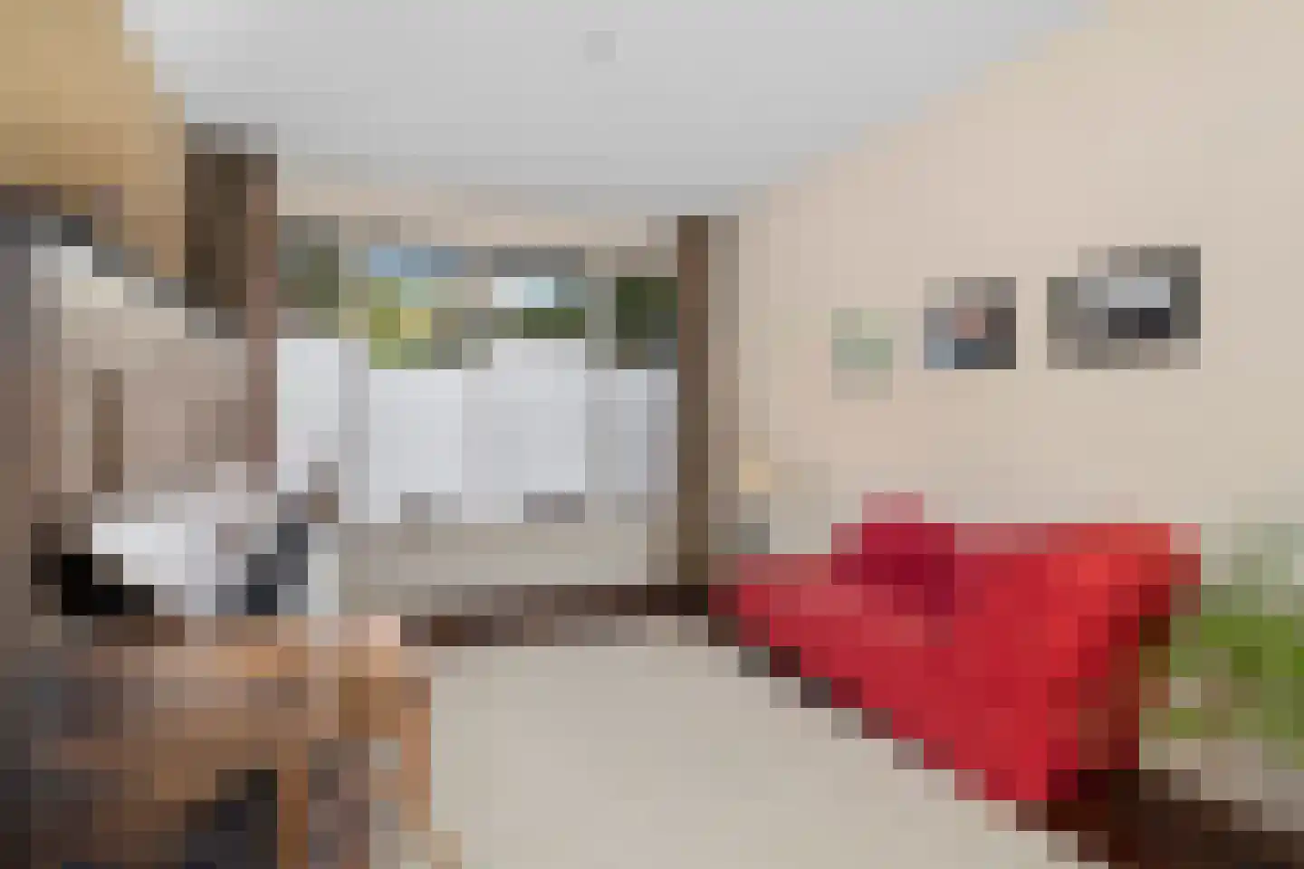 Grutto 4 Castricum thumbnail 14