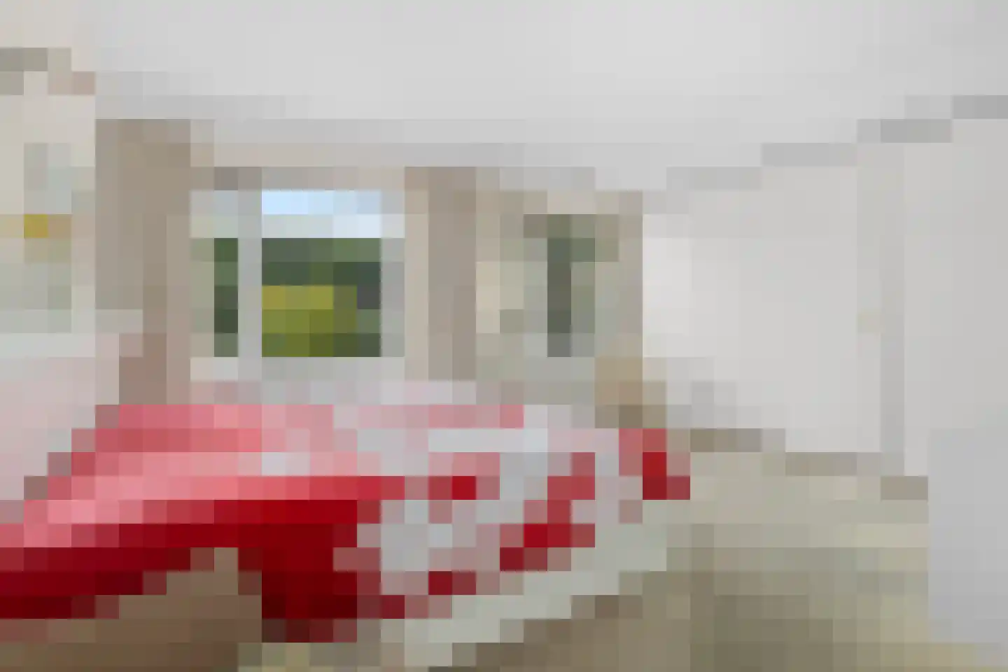 Grutto 4 Castricum thumbnail 21