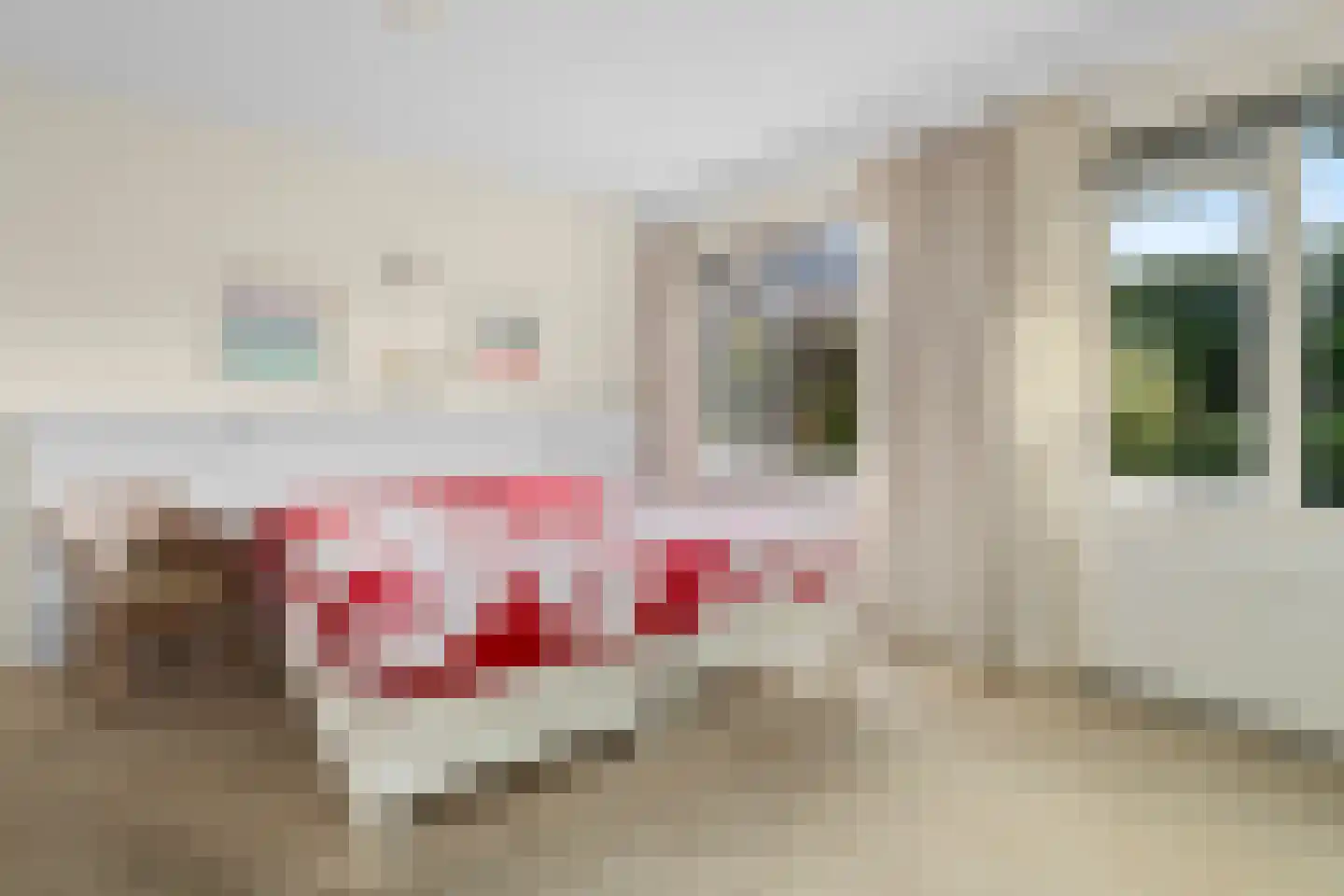 Grutto 4 Castricum thumbnail 22