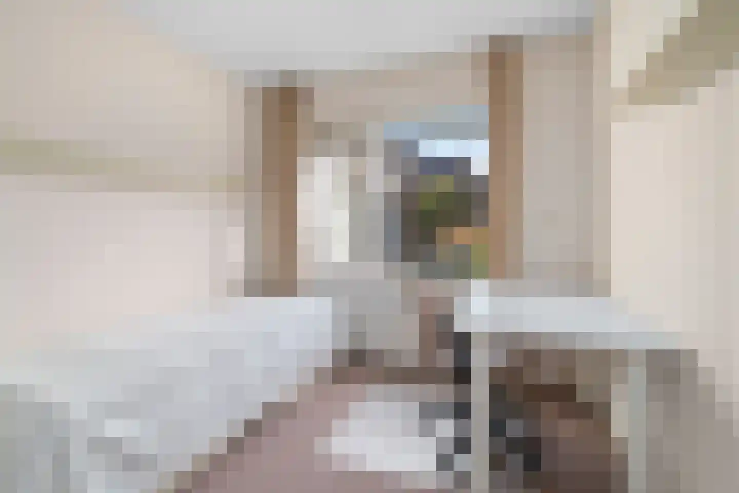 Grutto 4 Castricum thumbnail 25