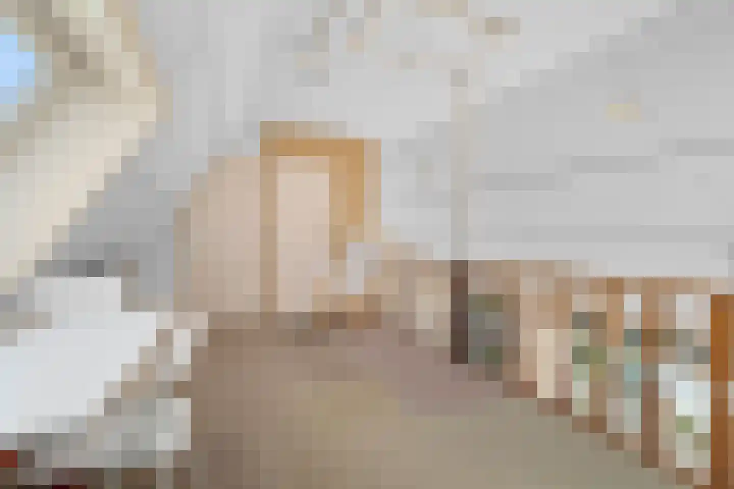 Grutto 4 Castricum thumbnail 27