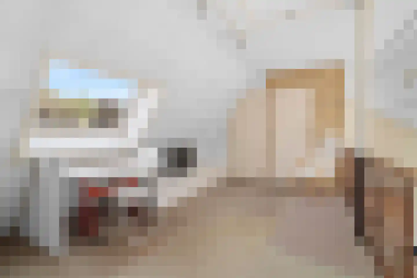 Grutto 4 Castricum thumbnail 28