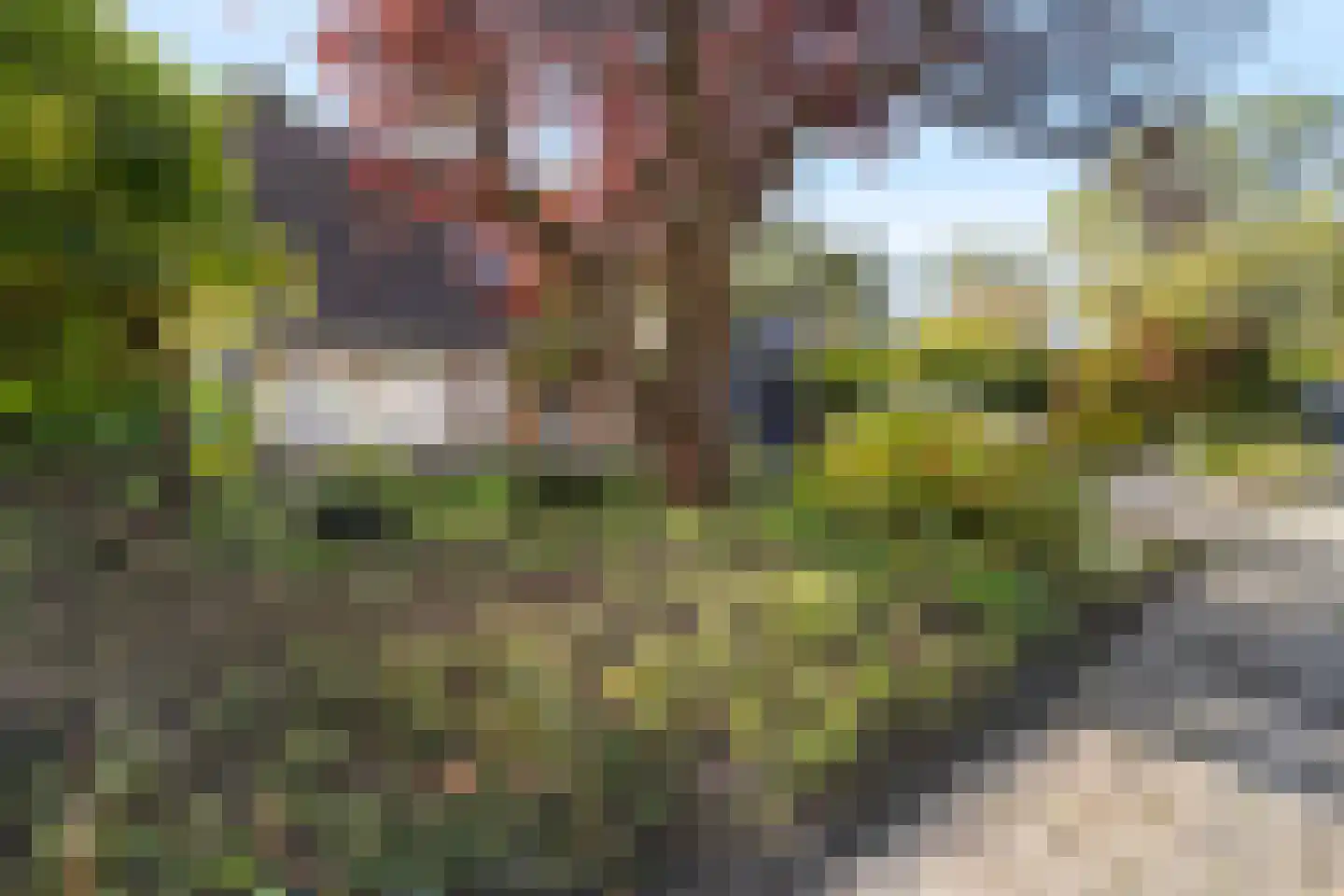Grutto 4 Castricum thumbnail 37