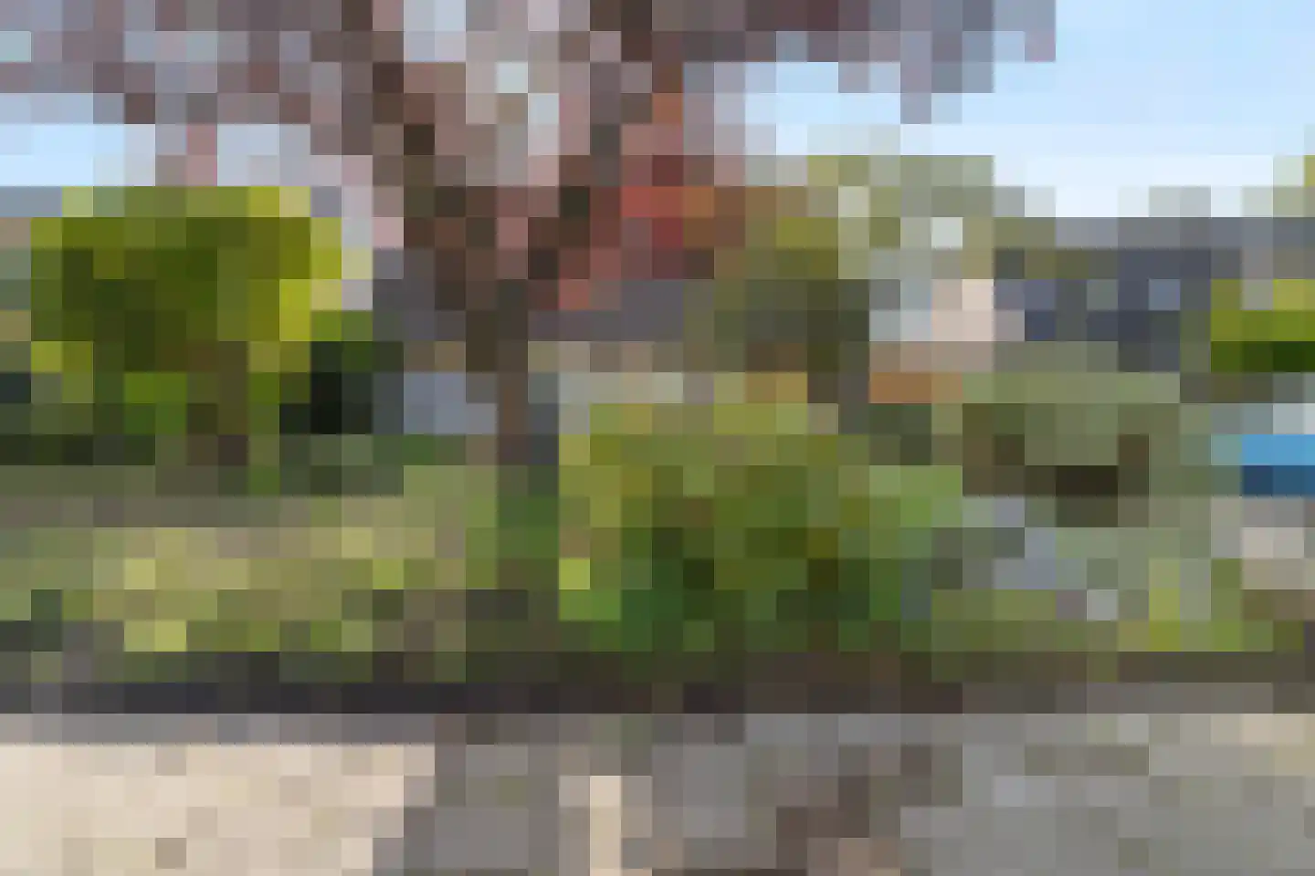 Grutto 4 Castricum thumbnail 38