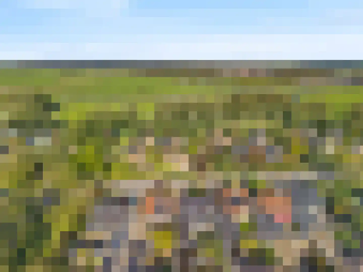 Grutto 4 Castricum thumbnail 41