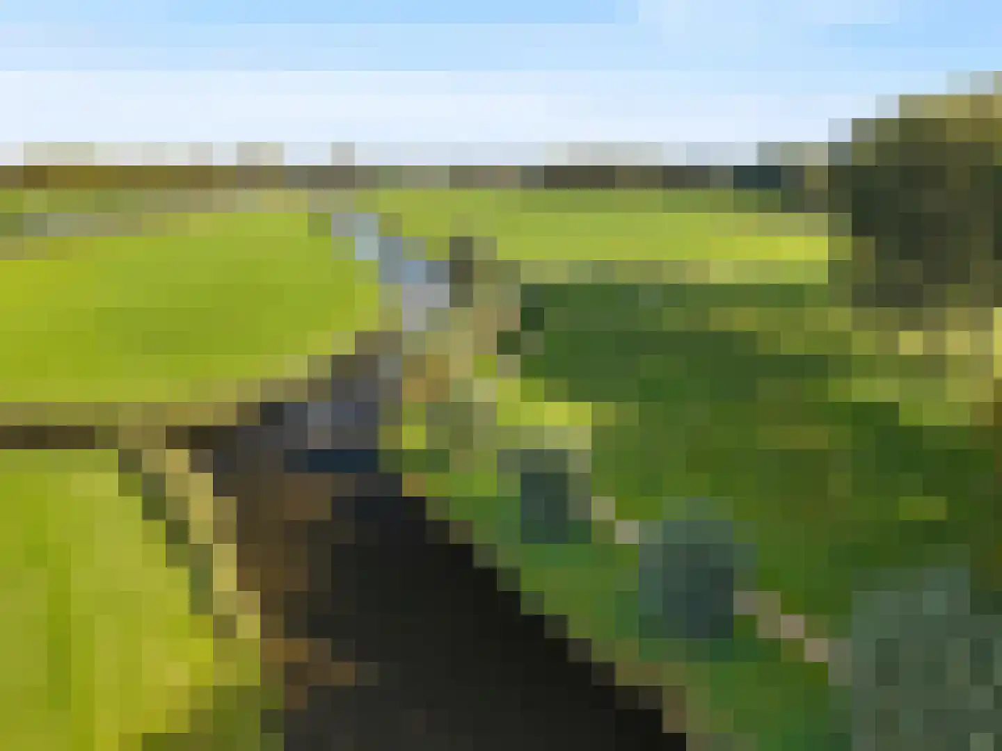 Grutto 4 Castricum thumbnail 42