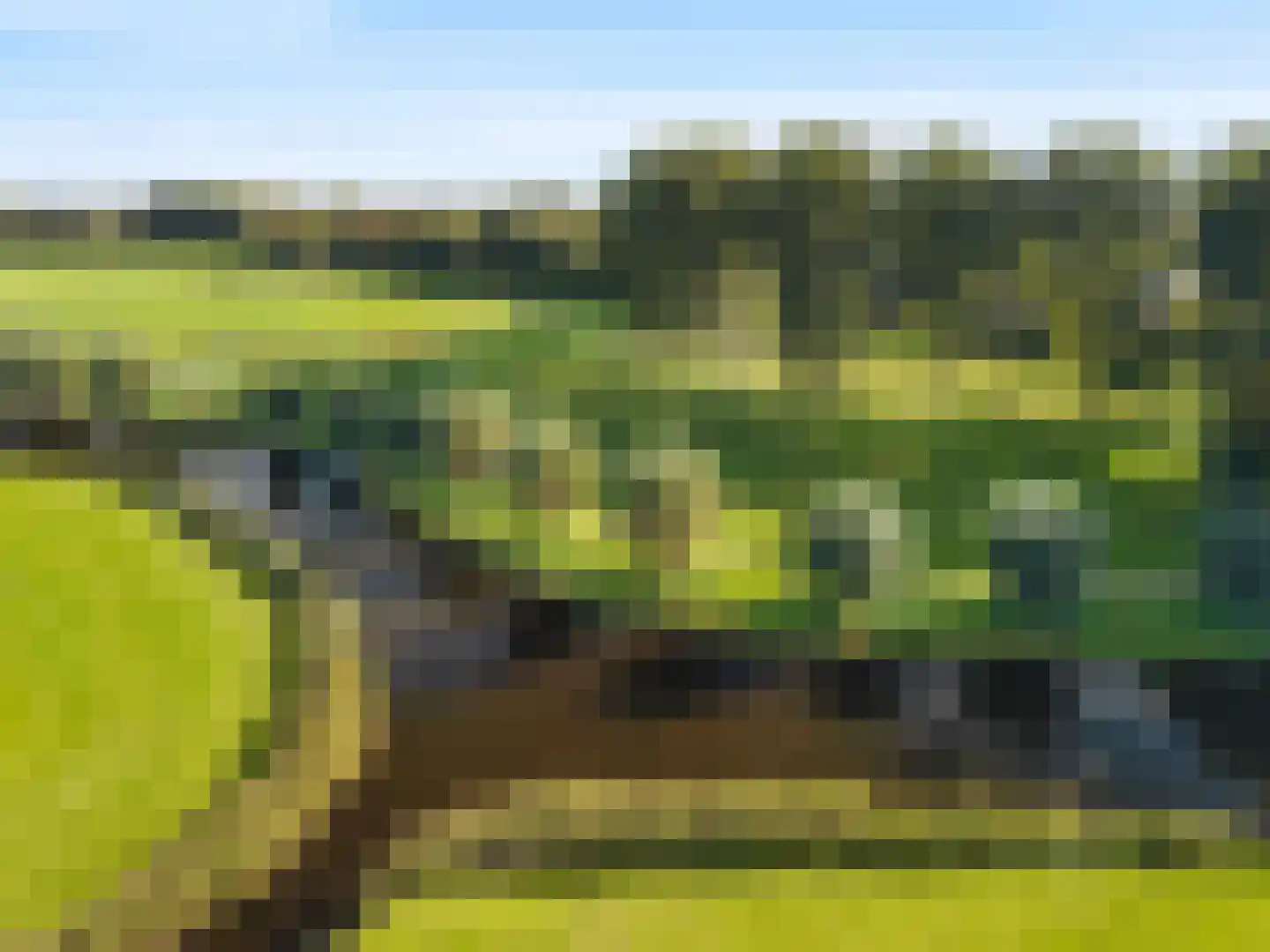Grutto 4 Castricum thumbnail 43