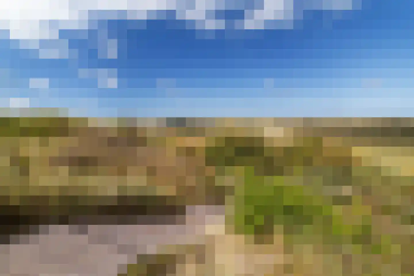 Grutto 4 Castricum thumbnail 46