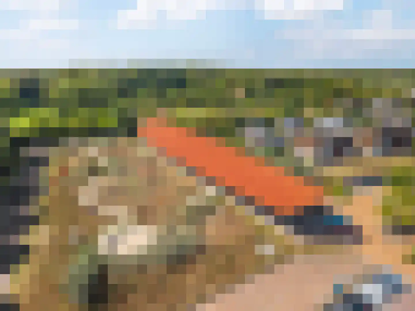 Grutto 4 Castricum thumbnail 49