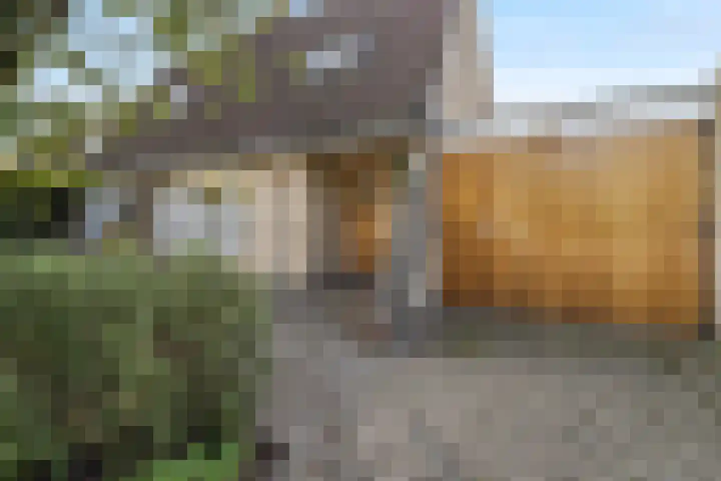 Grutto 4 Castricum thumbnail 5