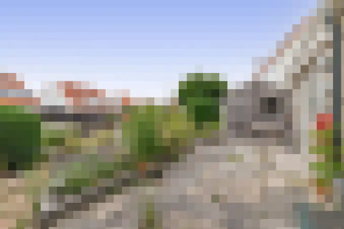 Grutto 4 Lemmer thumbnail 15
