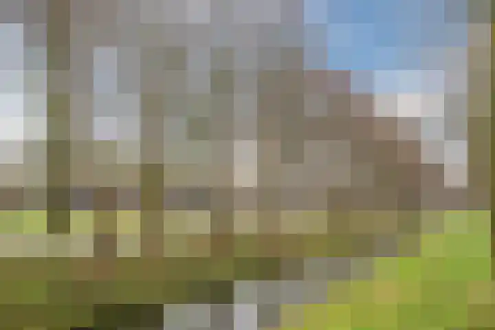 Grutto 45 Hoorn thumbnail 47