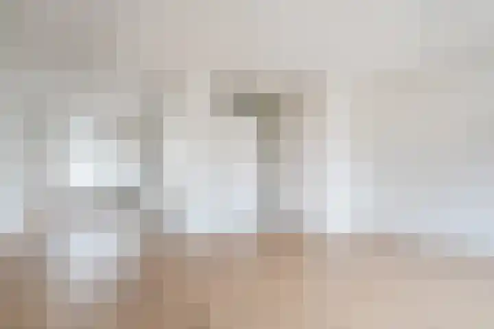Grutto 45 Hoorn thumbnail 8