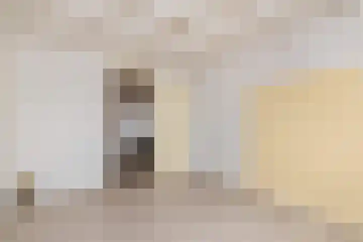 Grutto 45 Wijhe thumbnail 13