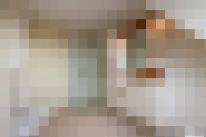 Grutto 45 Wijhe thumbnail 22